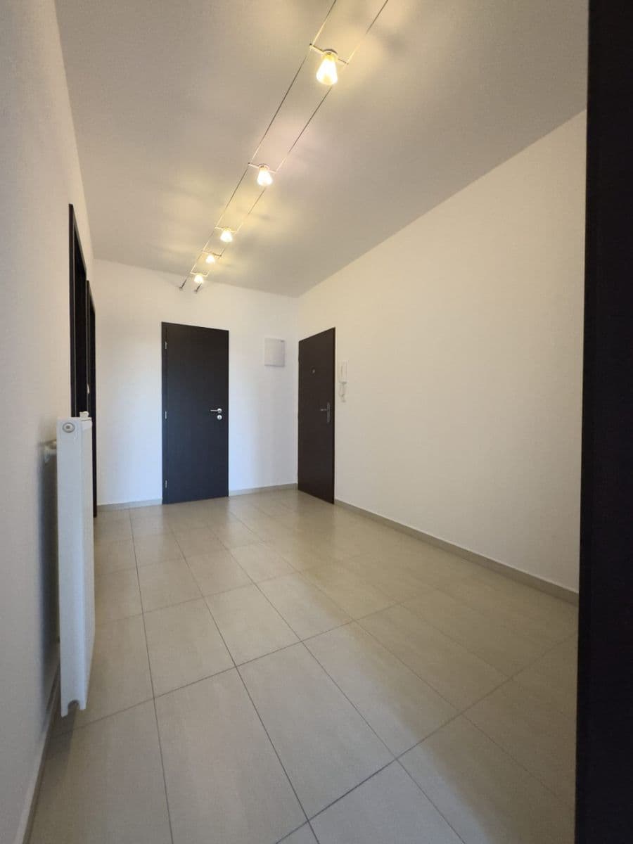 1 bedroom with open-plan kitchen flat for sale, 65 m², Rudolfa Holeky, Prague, Prague 1 bedroom with open-plan kitchen flat for sale, 65 m², Rudolfa Holeky, Prague, Prague