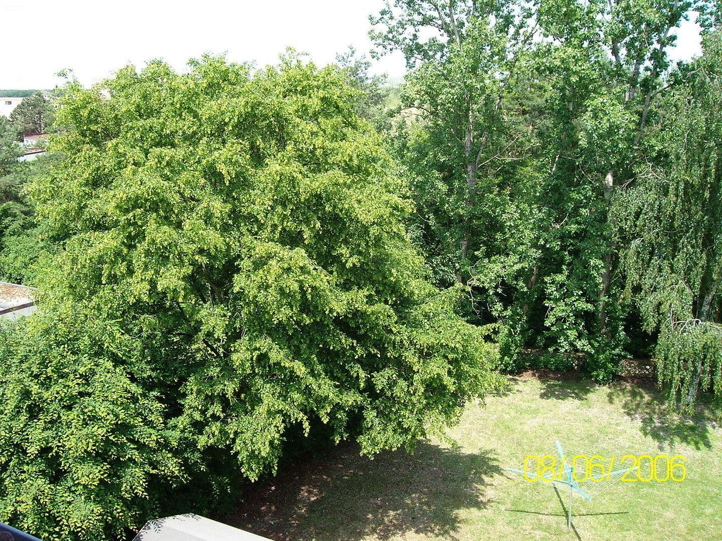 1 bedroom flat to rent, 22 m², Rodgau, Hesse 1 bedroom flat to rent, 22 m², Rodgau, Hesse