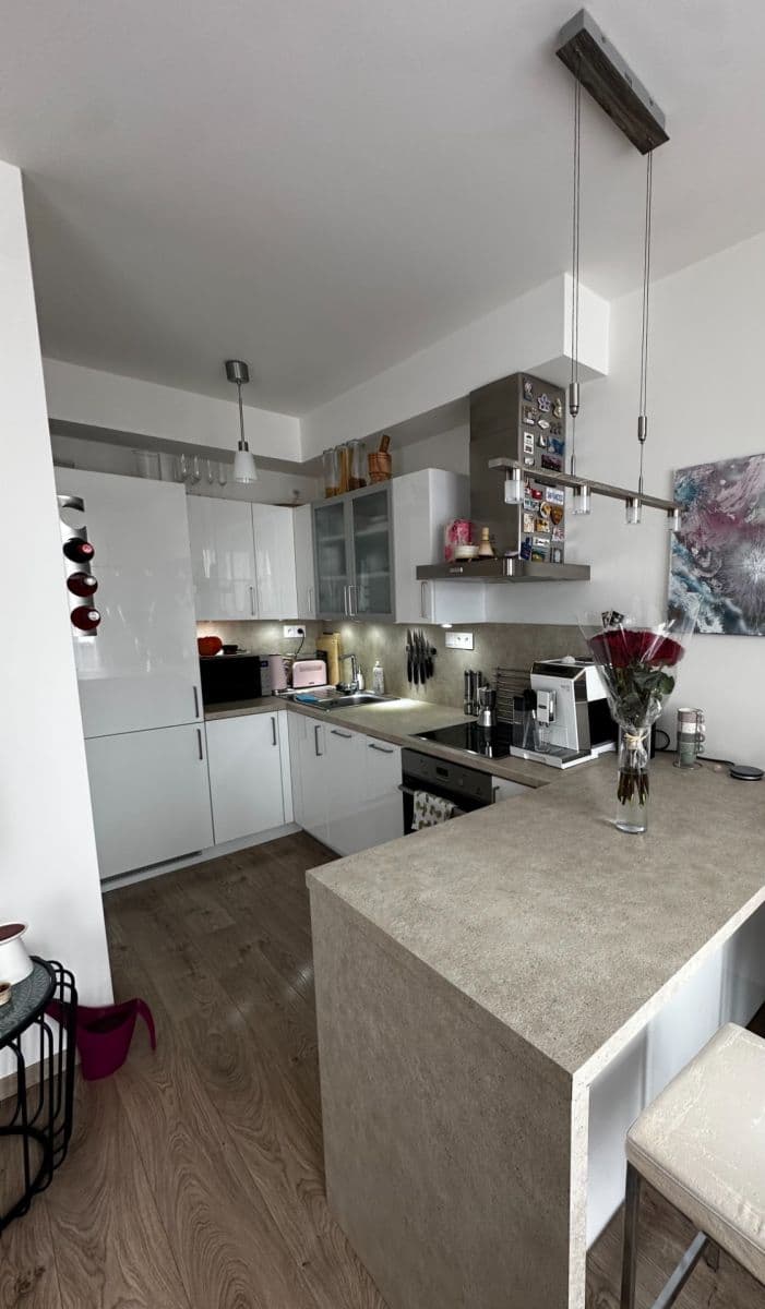 1 bedroom with open-plan kitchen flat to rent, 50 m², Miloše Havla, Prague, Prague 1 bedroom with open-plan kitchen flat to rent, 50 m², Miloše Havla, Prague, Prague