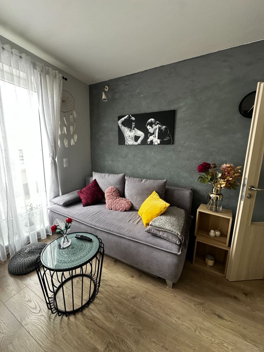 1 bedroom with open-plan kitchen flat to rent, 50 m², Miloše Havla, Prague, Prague 1 bedroom with open-plan kitchen flat to rent, 50 m², Miloše Havla, Prague, Prague