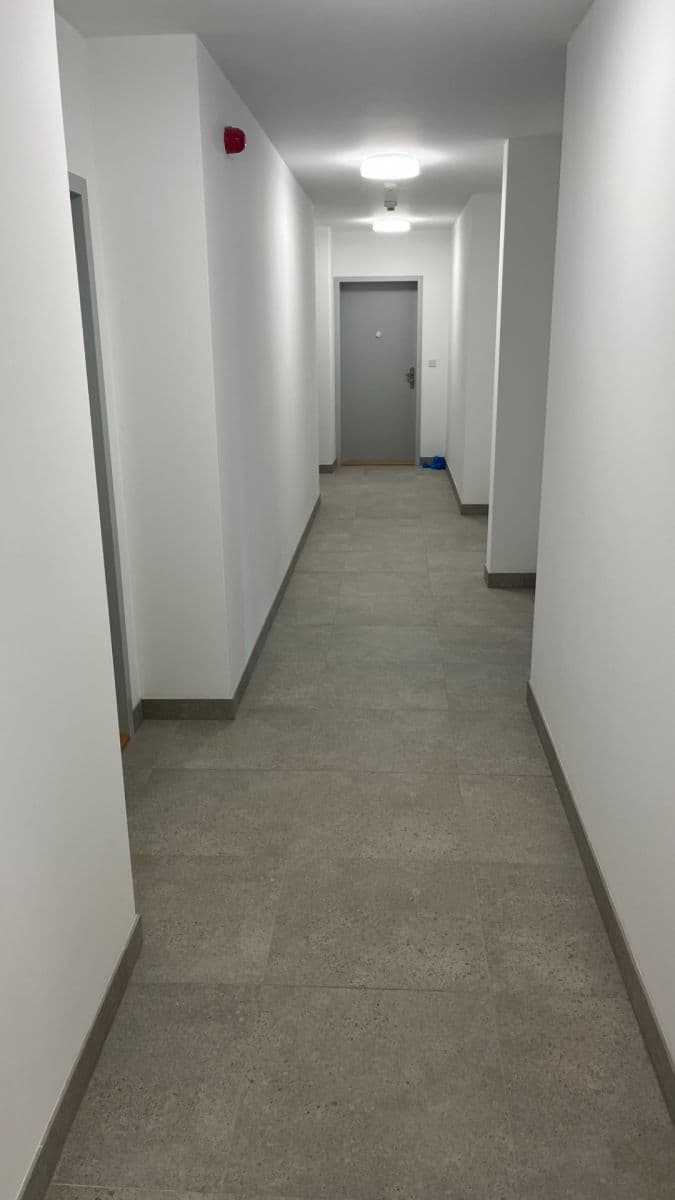Studio flat to rent, 35 m², Vyletalova, Prague, Prague Studio flat to rent, 35 m², Vyletalova, Prague, Prague