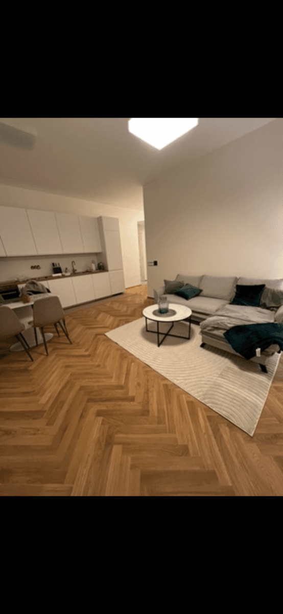 1 bedroom with open-plan kitchen flat to rent, 48 m², Prague, Prague 1 bedroom with open-plan kitchen flat to rent, 48 m², Prague, Prague