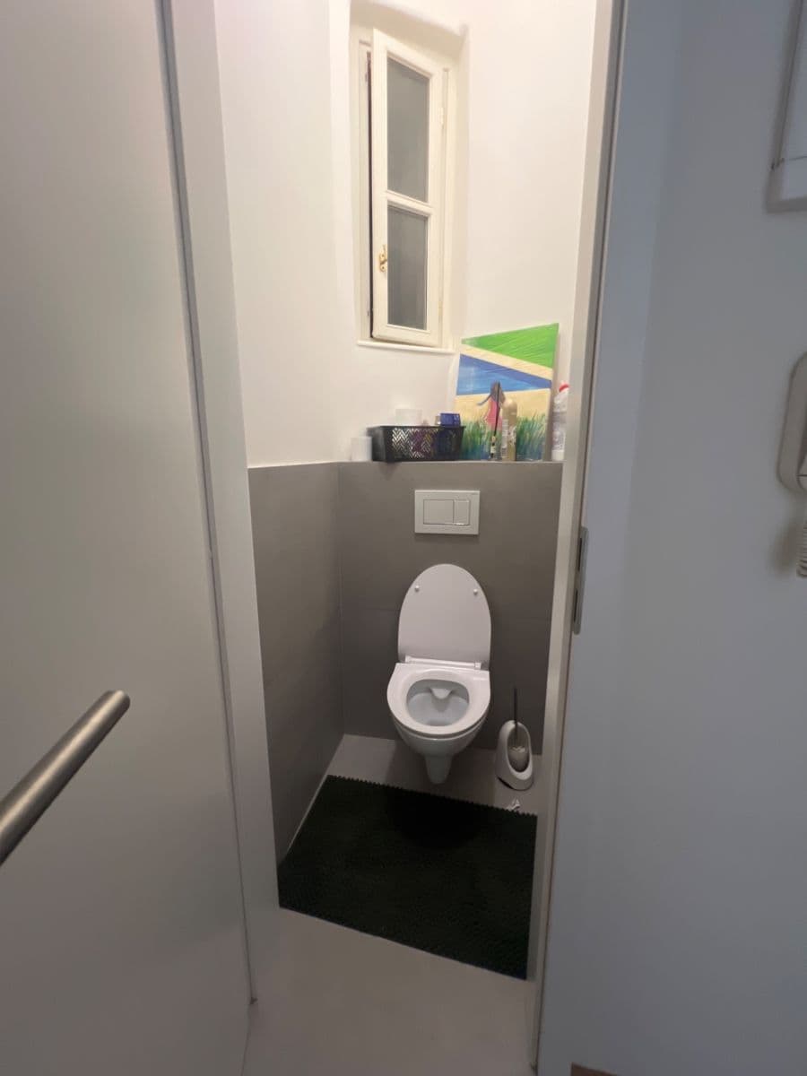 1 bedroom with open-plan kitchen flat to rent, 48 m², Prague, Prague 1 bedroom with open-plan kitchen flat to rent, 48 m², Prague, Prague