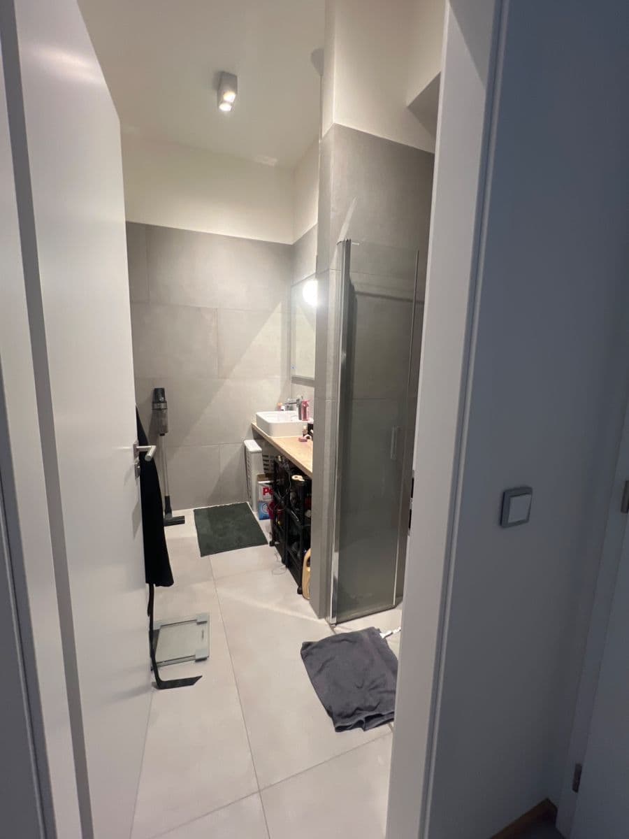 1 bedroom with open-plan kitchen flat to rent, 48 m², Prague, Prague 1 bedroom with open-plan kitchen flat to rent, 48 m², Prague, Prague
