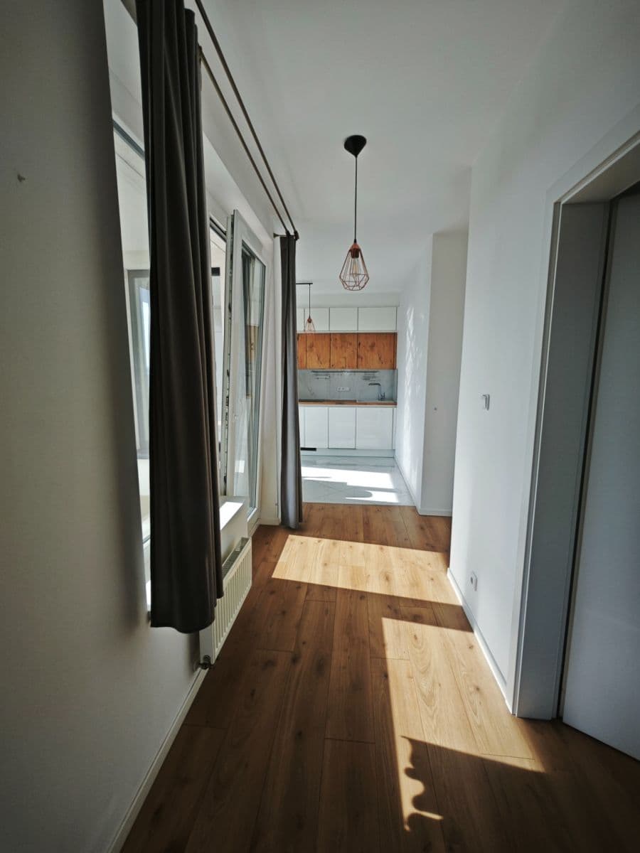 1 bedroom with open-plan kitchen flat to rent, 54 m², Honzíkova, Prague, Prague 1 bedroom with open-plan kitchen flat to rent, 54 m², Honzíkova, Prague, Prague