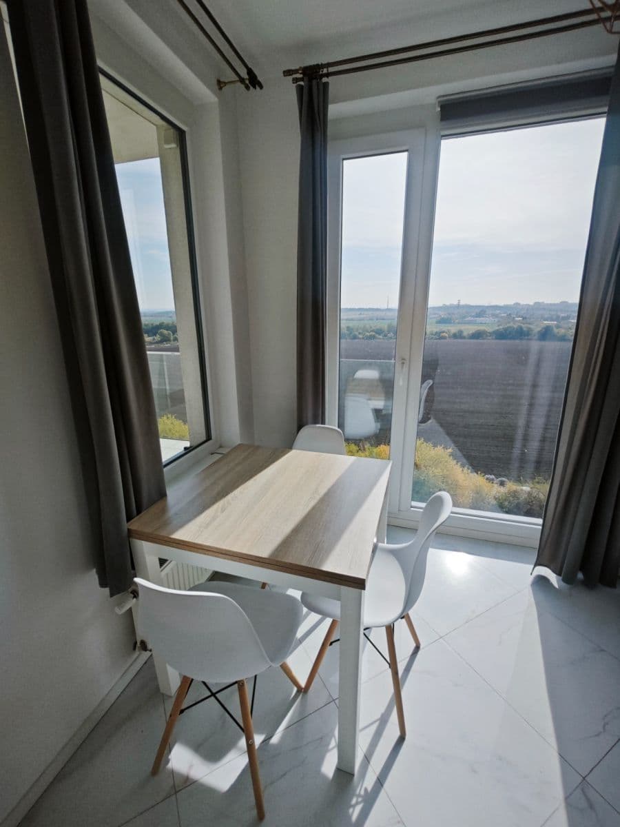 1 bedroom with open-plan kitchen flat to rent, 54 m², Honzíkova, Prague, Prague 1 bedroom with open-plan kitchen flat to rent, 54 m², Honzíkova, Prague, Prague