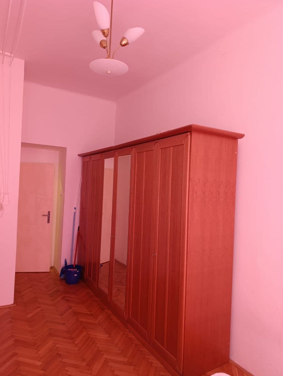 1 bedroom with open-plan kitchen flat to rent, 43 m², Sudoměřská, Prague, Prague 1 bedroom with open-plan kitchen flat to rent, 43 m², Sudoměřská, Prague, Prague