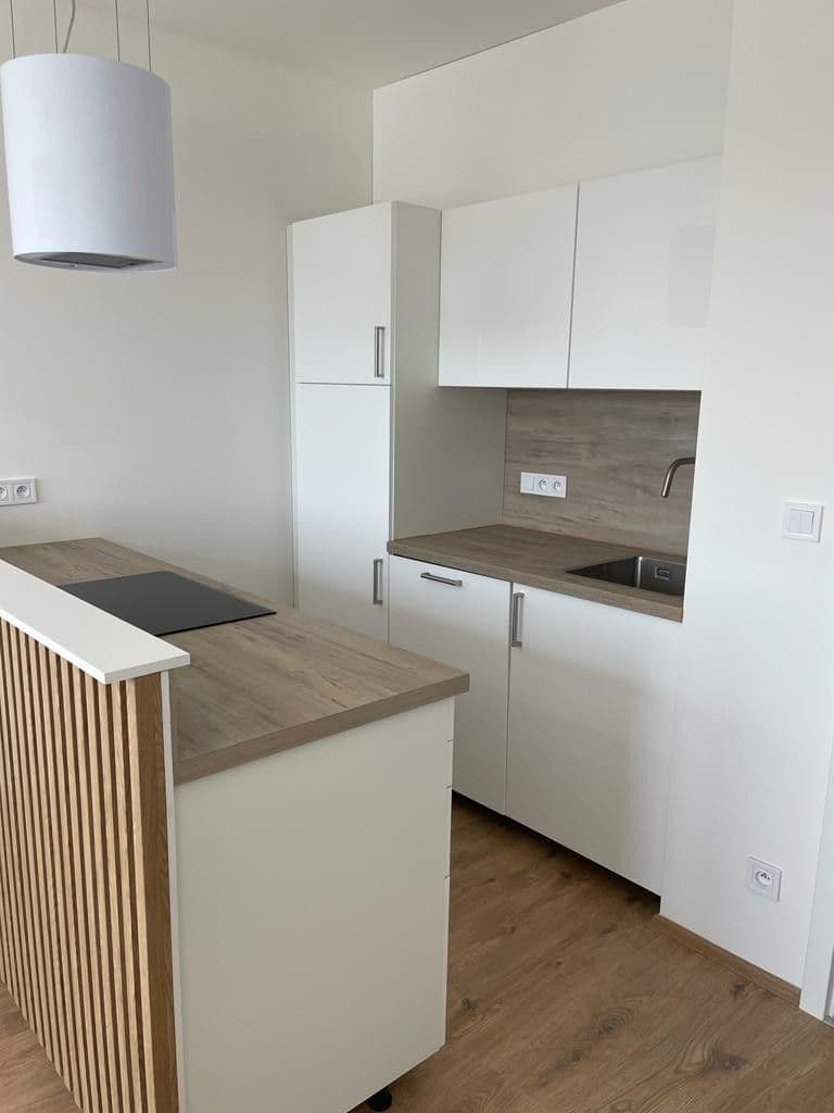 1 bedroom with open-plan kitchen flat to rent, 44 m², Formanská, Prague, Prague 1 bedroom with open-plan kitchen flat to rent, 44 m², Formanská, Prague, Prague