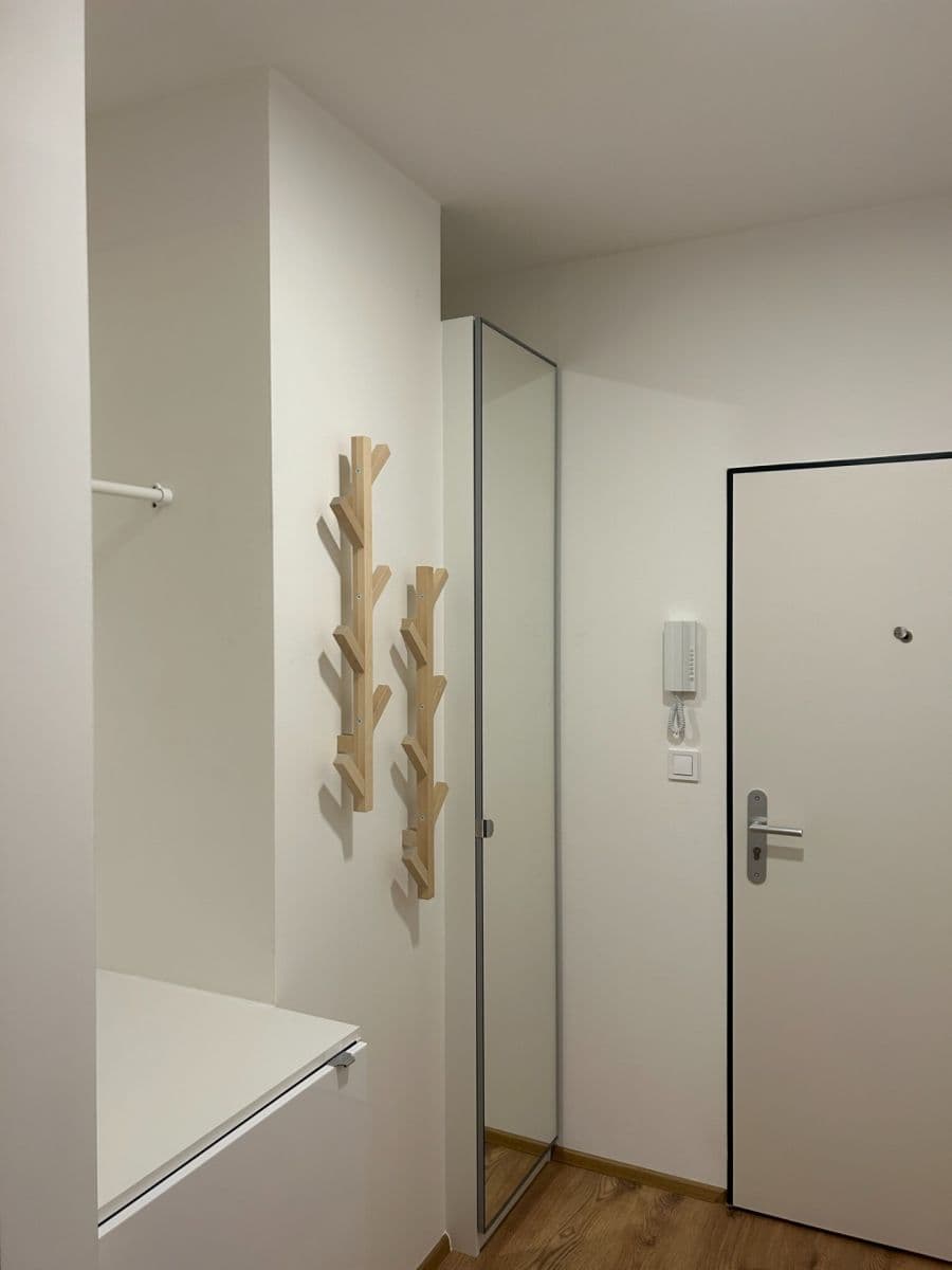 1 bedroom with open-plan kitchen flat to rent, 44 m², Formanská, Prague, Prague 1 bedroom with open-plan kitchen flat to rent, 44 m², Formanská, Prague, Prague