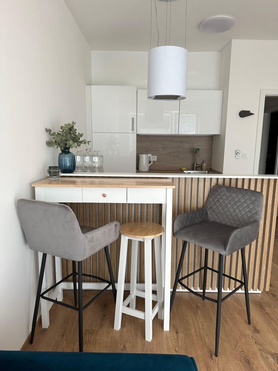 1 bedroom with open-plan kitchen flat to rent, 44 m², Formanská, Prague, Prague 1 bedroom with open-plan kitchen flat to rent, 44 m², Formanská, Prague, Prague