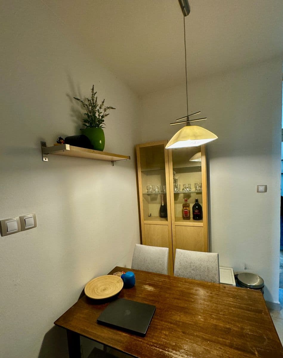 1 bedroom with open-plan kitchen flat to rent, 51 m², Pod Terebkou, Prague, Prague 1 bedroom with open-plan kitchen flat to rent, 51 m², Pod Terebkou, Prague, Prague