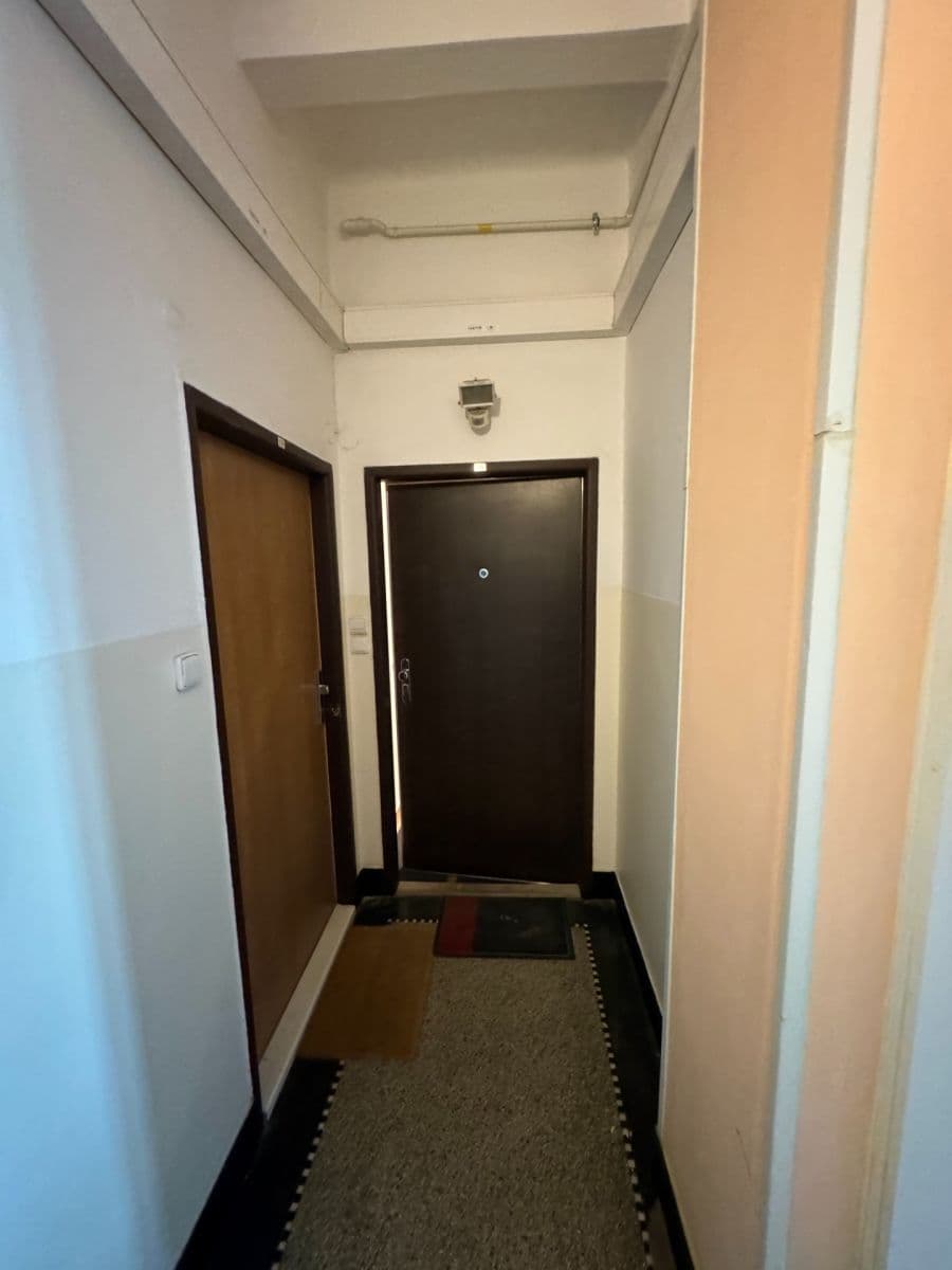 1 bedroom with open-plan kitchen flat to rent, 51 m², Pod Terebkou, Prague, Prague 1 bedroom with open-plan kitchen flat to rent, 51 m², Pod Terebkou, Prague, Prague