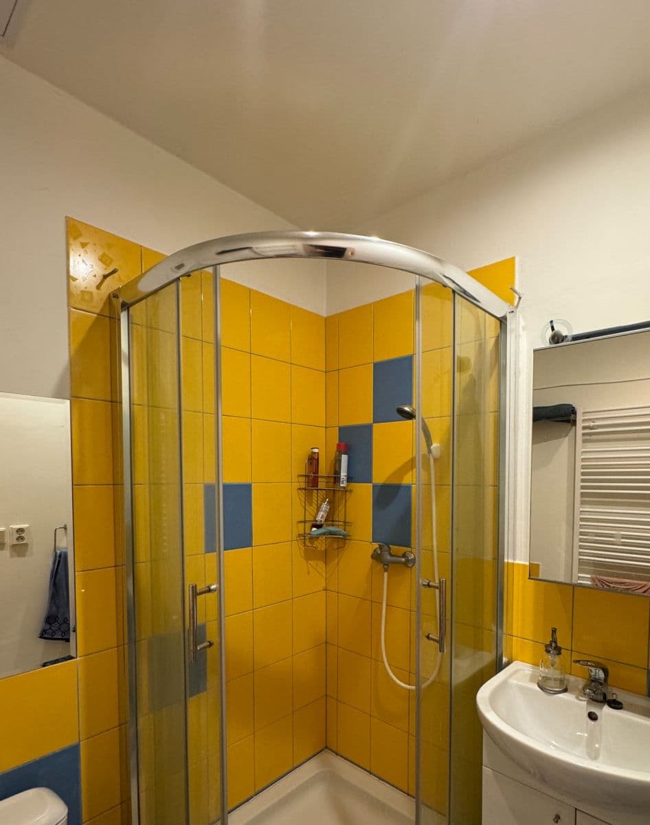 1 bedroom with open-plan kitchen flat to rent, 51 m², Pod Terebkou, Prague, Prague 1 bedroom with open-plan kitchen flat to rent, 51 m², Pod Terebkou, Prague, Prague