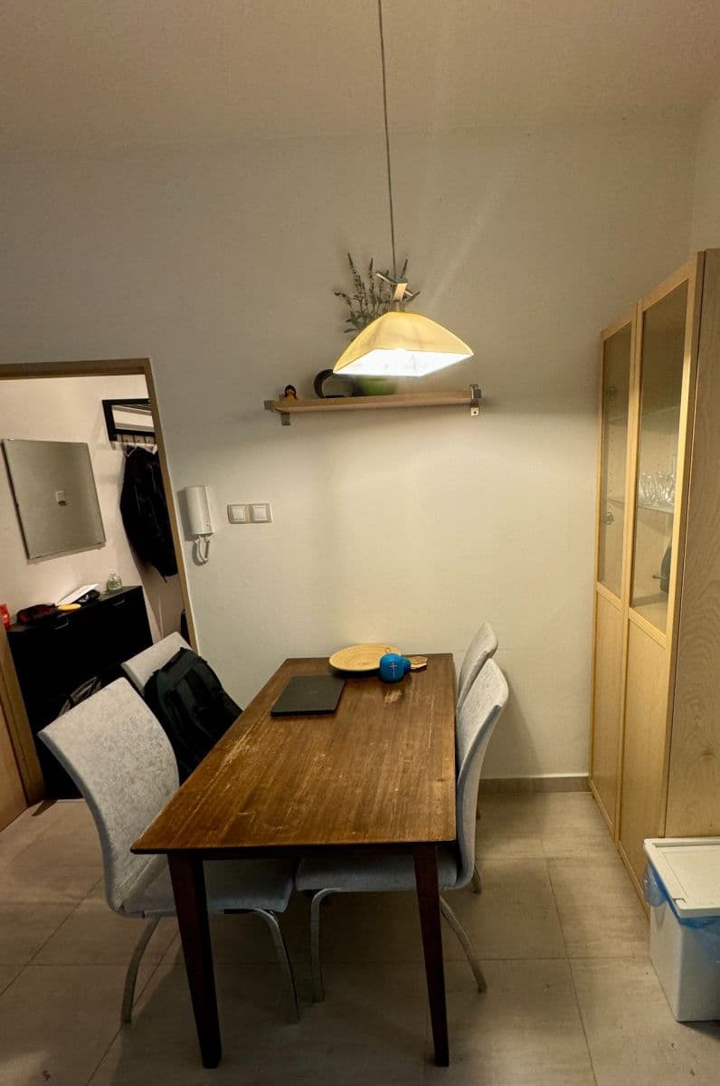 1 bedroom with open-plan kitchen flat to rent, 51 m², Pod Terebkou, Prague, Prague 1 bedroom with open-plan kitchen flat to rent, 51 m², Pod Terebkou, Prague, Prague