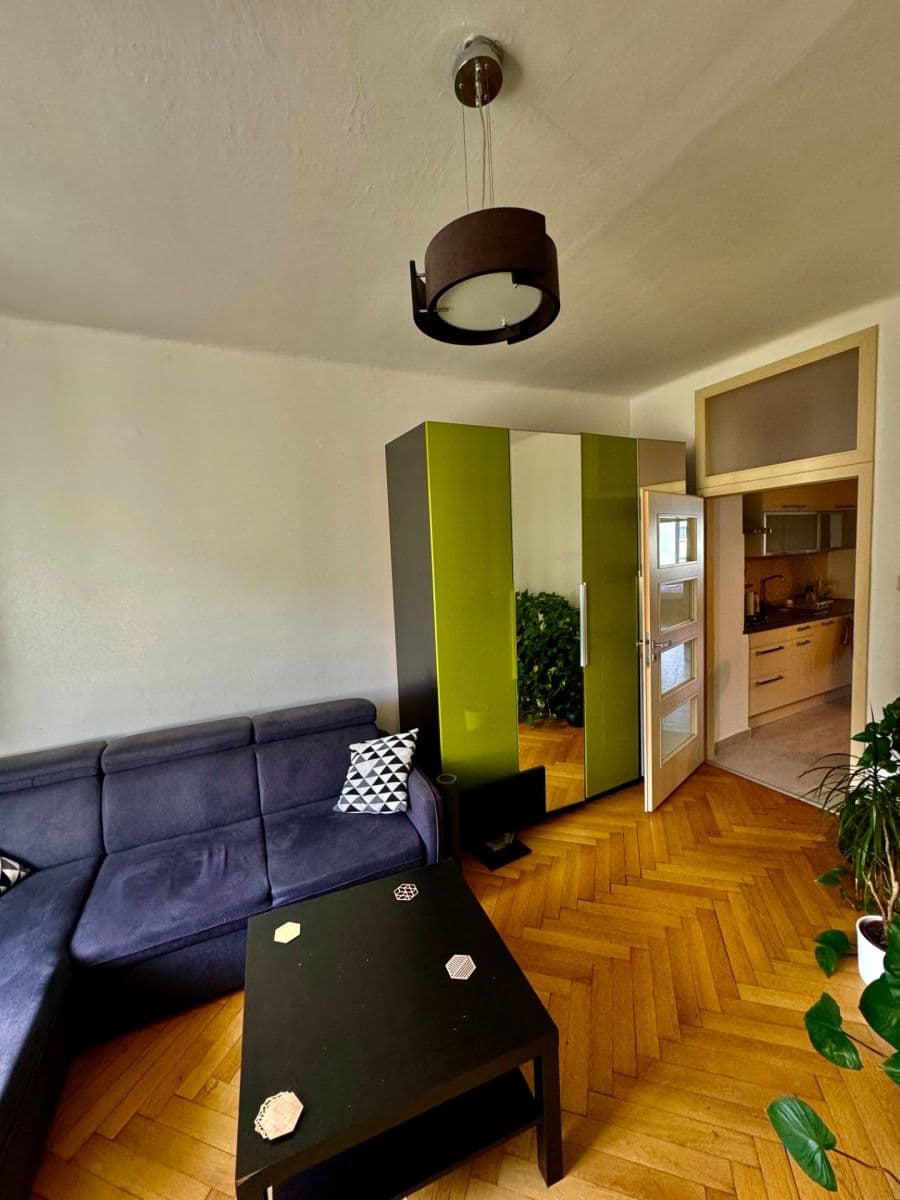 1 bedroom with open-plan kitchen flat to rent, 51 m², Pod Terebkou, Prague, Prague 1 bedroom with open-plan kitchen flat to rent, 51 m², Pod Terebkou, Prague, Prague