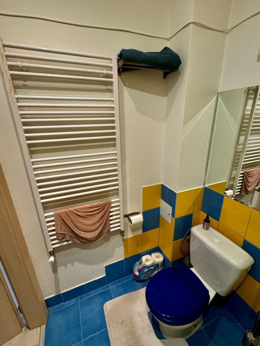 1 bedroom with open-plan kitchen flat to rent, 51 m², Pod Terebkou, Prague, Prague 1 bedroom with open-plan kitchen flat to rent, 51 m², Pod Terebkou, Prague, Prague