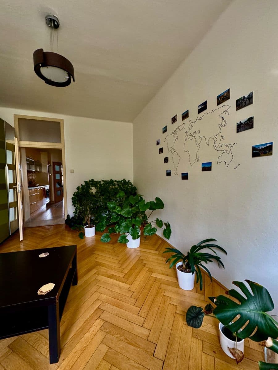 1 bedroom with open-plan kitchen flat to rent, 51 m², Pod Terebkou, Prague, Prague 1 bedroom with open-plan kitchen flat to rent, 51 m², Pod Terebkou, Prague, Prague