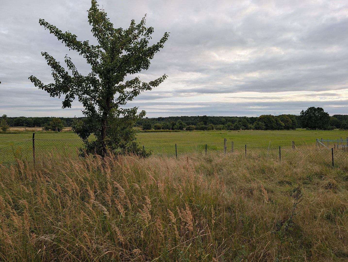 plot for sale, 2,060 m², Braunschweig, Lower Saxony plot for sale, 2,060 m², Braunschweig, Lower Saxony