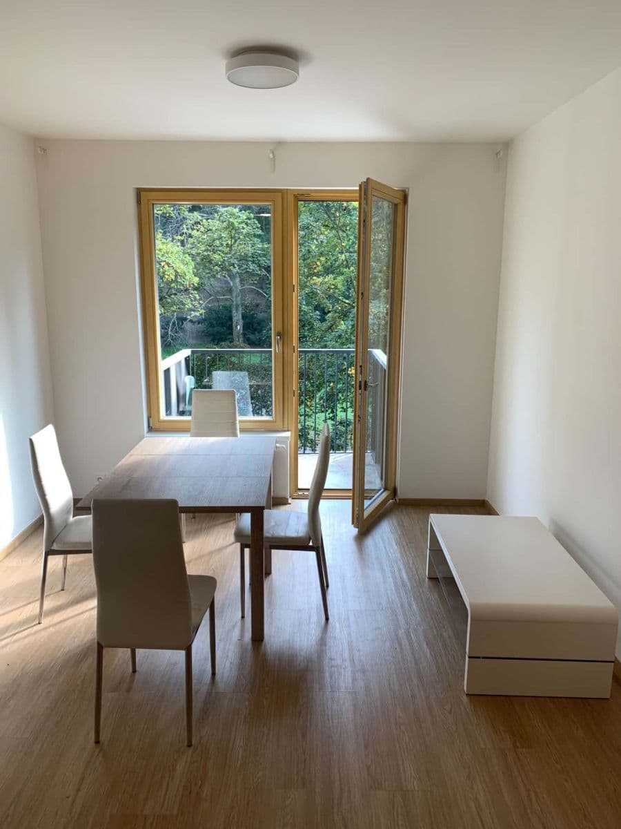 1 bedroom with open-plan kitchen flat to rent, 48 m², Pod Kavalírkou, Prague, Prague 1 bedroom with open-plan kitchen flat to rent, 48 m², Pod Kavalírkou, Prague, Prague