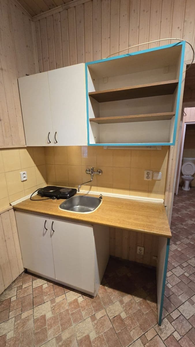 1 bedroom with open-plan kitchen flat to rent, 42 m², Tolstého, Prague, Prague 1 bedroom with open-plan kitchen flat to rent, 42 m², Tolstého, Prague, Prague