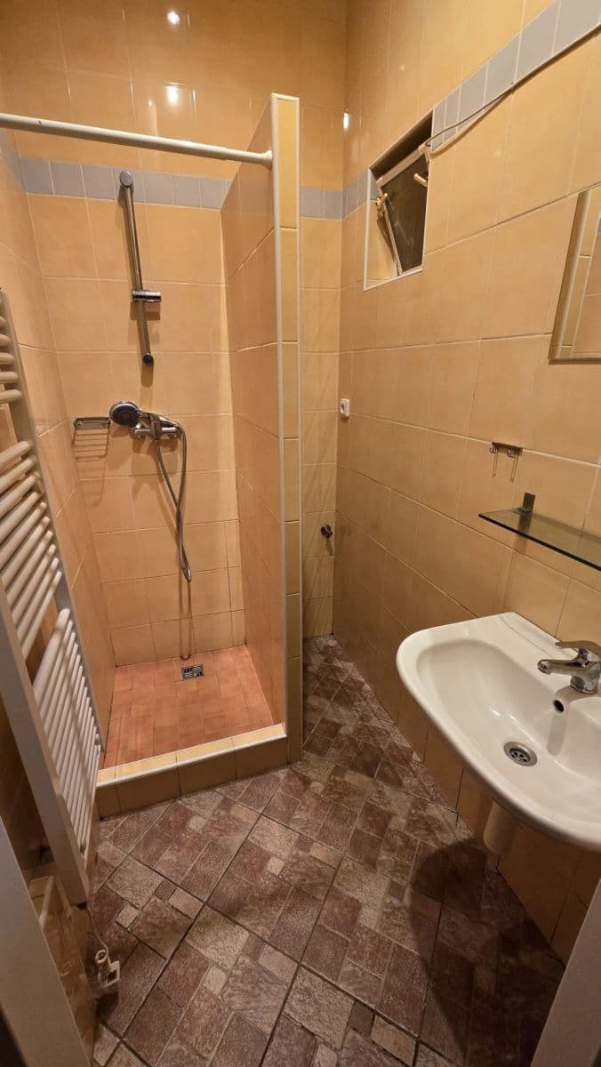 1 bedroom with open-plan kitchen flat to rent, 42 m², Tolstého, Prague, Prague 1 bedroom with open-plan kitchen flat to rent, 42 m², Tolstého, Prague, Prague