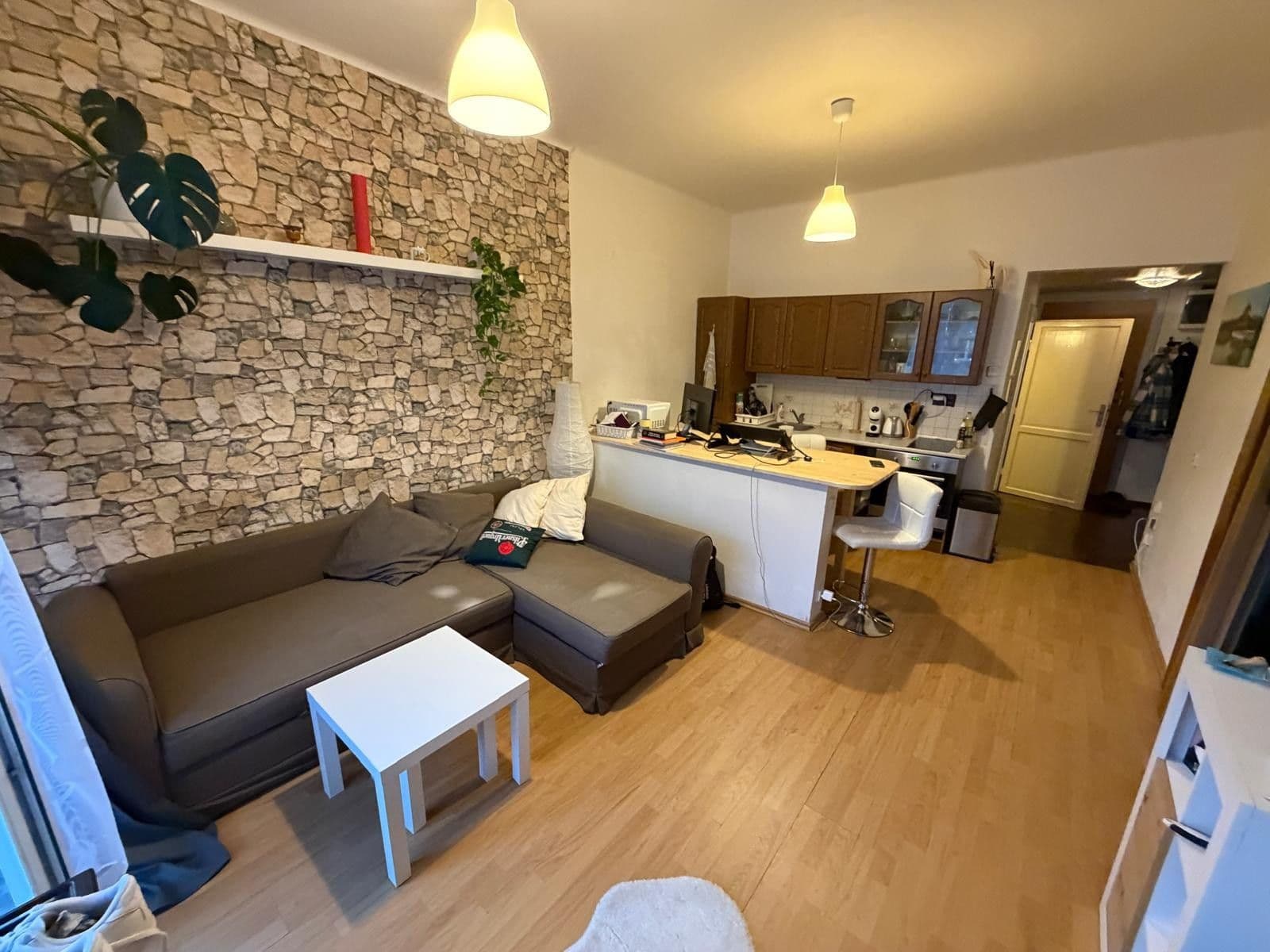 1 bedroom with open-plan kitchen flat to rent, 52 m², Hartigova, Prague, Prague 1 bedroom with open-plan kitchen flat to rent, 52 m², Hartigova, Prague, Prague