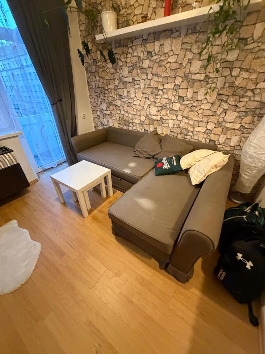 1 bedroom with open-plan kitchen flat to rent, 52 m², Hartigova, Prague, Prague 1 bedroom with open-plan kitchen flat to rent, 52 m², Hartigova, Prague, Prague