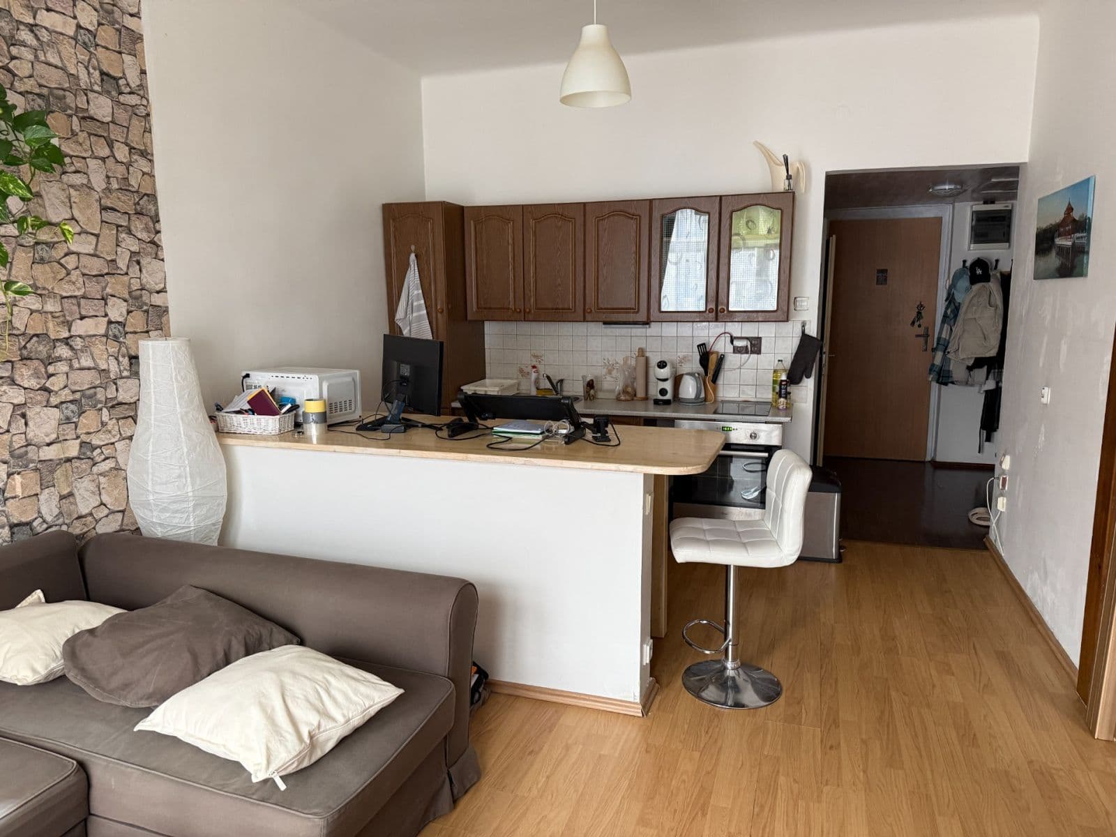 1 bedroom with open-plan kitchen flat to rent, 52 m², Hartigova, Prague, Prague 1 bedroom with open-plan kitchen flat to rent, 52 m², Hartigova, Prague, Prague