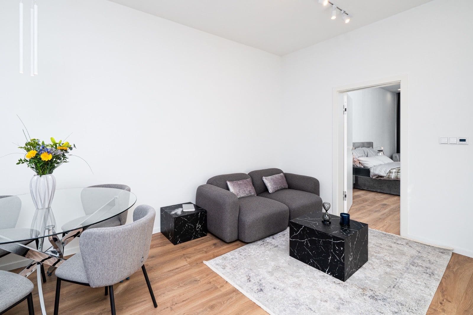 1 bedroom with open-plan kitchen flat to rent, 58 m², Milady Horákové, Prague, Prague 1 bedroom with open-plan kitchen flat to rent, 58 m², Milady Horákové, Prague, Prague
