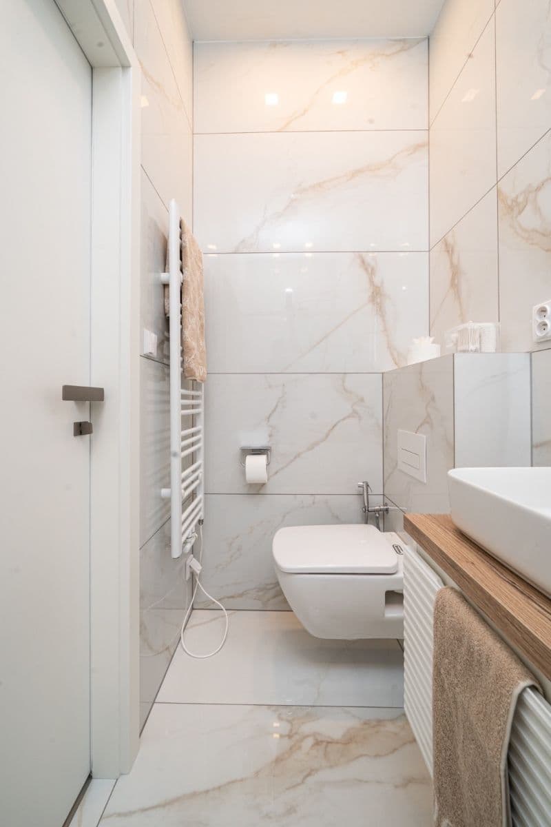1 bedroom with open-plan kitchen flat to rent, 58 m², Milady Horákové, Prague, Prague 1 bedroom with open-plan kitchen flat to rent, 58 m², Milady Horákové, Prague, Prague