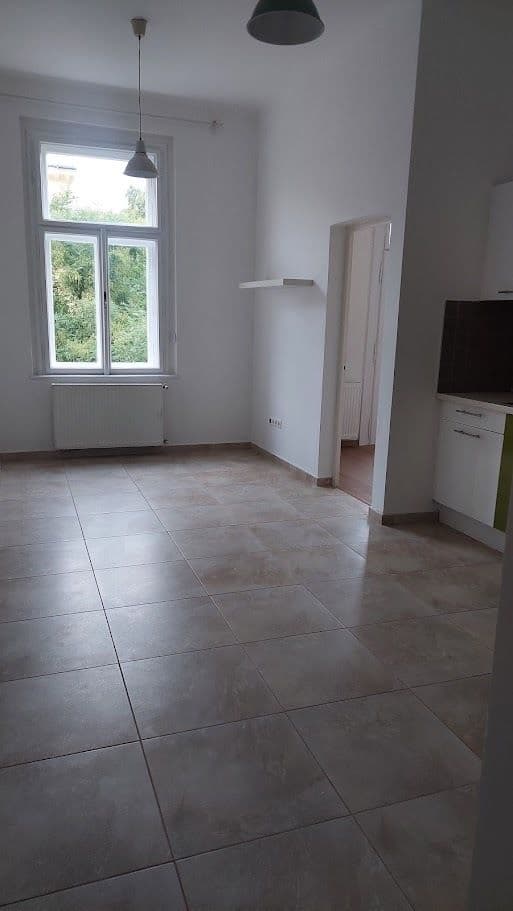 1 bedroom with open-plan kitchen flat to rent, 42 m², Pernerova, Prague, Prague 1 bedroom with open-plan kitchen flat to rent, 42 m², Pernerova, Prague, Prague