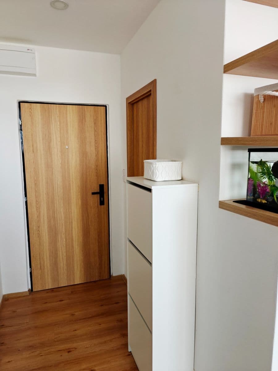 1 bedroom with open-plan kitchen flat to rent, 40 m², Herčíkova, Brno, Jihomoravský Region 1 bedroom with open-plan kitchen flat to rent, 40 m², Herčíkova, Brno, Jihomoravský Region