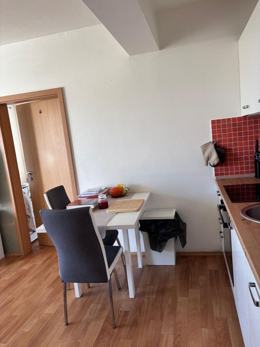 1 bedroom with open-plan kitchen flat to rent, 50 m², Květná, Plzeň, Plzeňský Region 1 bedroom with open-plan kitchen flat to rent, 50 m², Květná, Plzeň, Plzeňský Region