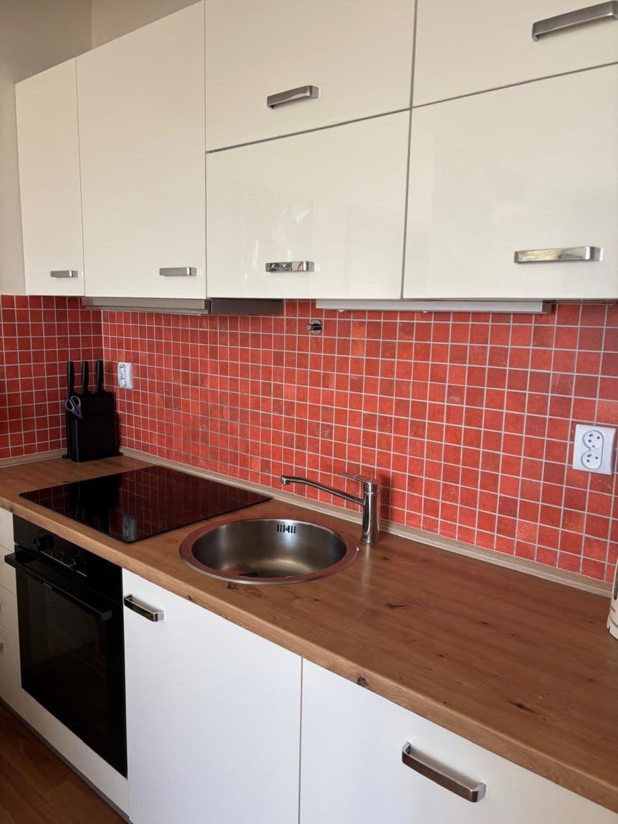 1 bedroom with open-plan kitchen flat to rent, 50 m², Květná, Plzeň, Plzeňský Region 1 bedroom with open-plan kitchen flat to rent, 50 m², Květná, Plzeň, Plzeňský Region