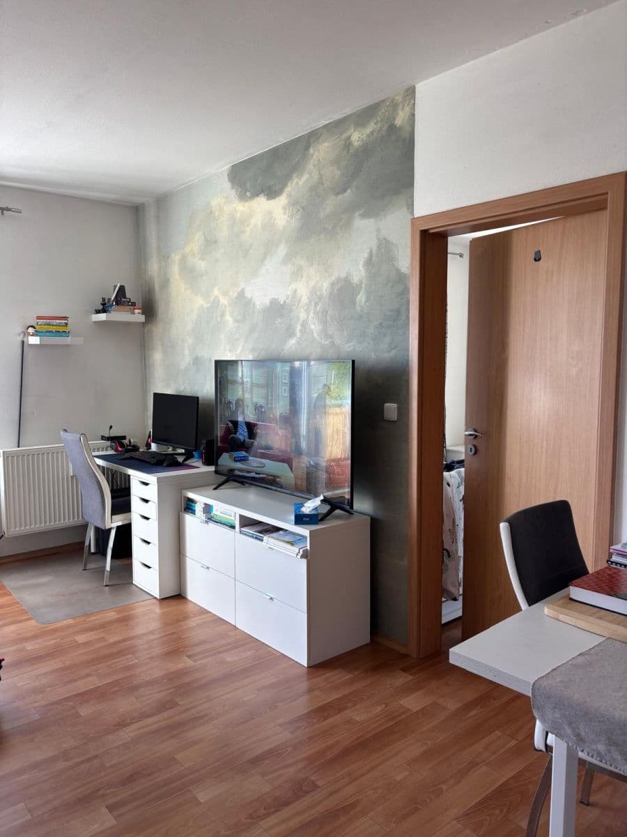 1 bedroom with open-plan kitchen flat to rent, 50 m², Květná, Plzeň, Plzeňský Region 1 bedroom with open-plan kitchen flat to rent, 50 m², Květná, Plzeň, Plzeňský Region