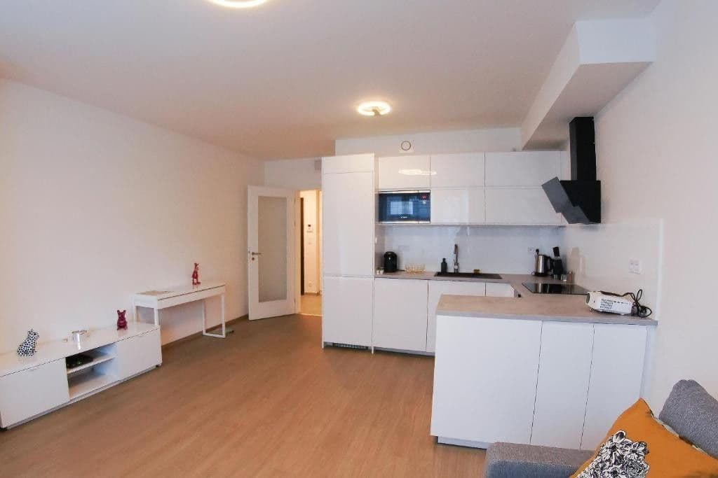 1 bedroom with open-plan kitchen flat to rent, 54 m², Jankovcova, Prague, Prague 1 bedroom with open-plan kitchen flat to rent, 54 m², Jankovcova, Prague, Prague