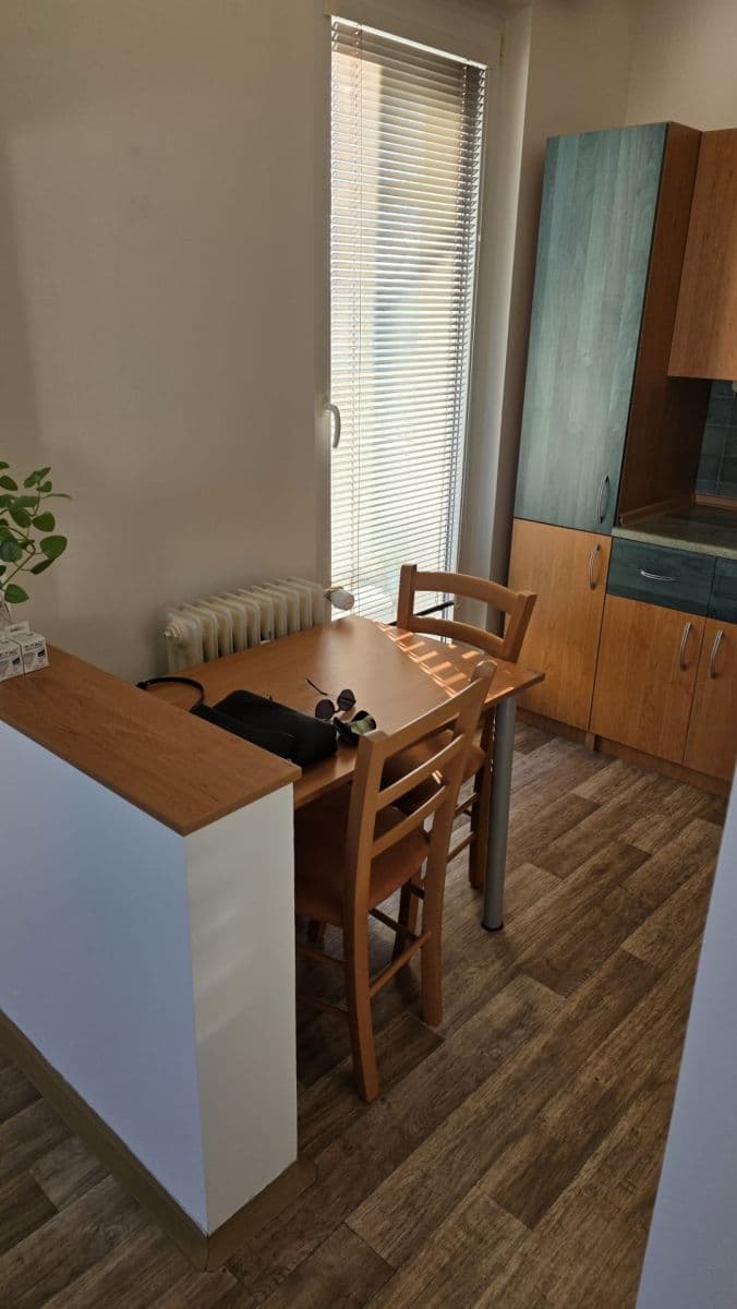 1 bedroom with open-plan kitchen flat to rent, 42 m², Vitry, Kladno, Středočeský Region 1 bedroom with open-plan kitchen flat to rent, 42 m², Vitry, Kladno, Středočeský Region