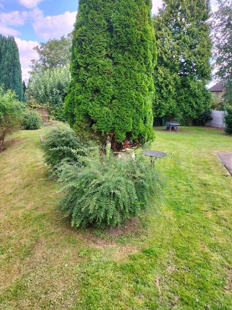 1 bedroom flat to rent, 35 m², Bleyerheider Sraße 26-28, Herzogenrath, North Rhine-Westphalia 1 bedroom flat to rent, 35 m², Bleyerheider Sraße 26-28, Herzogenrath, North Rhine-Westphalia