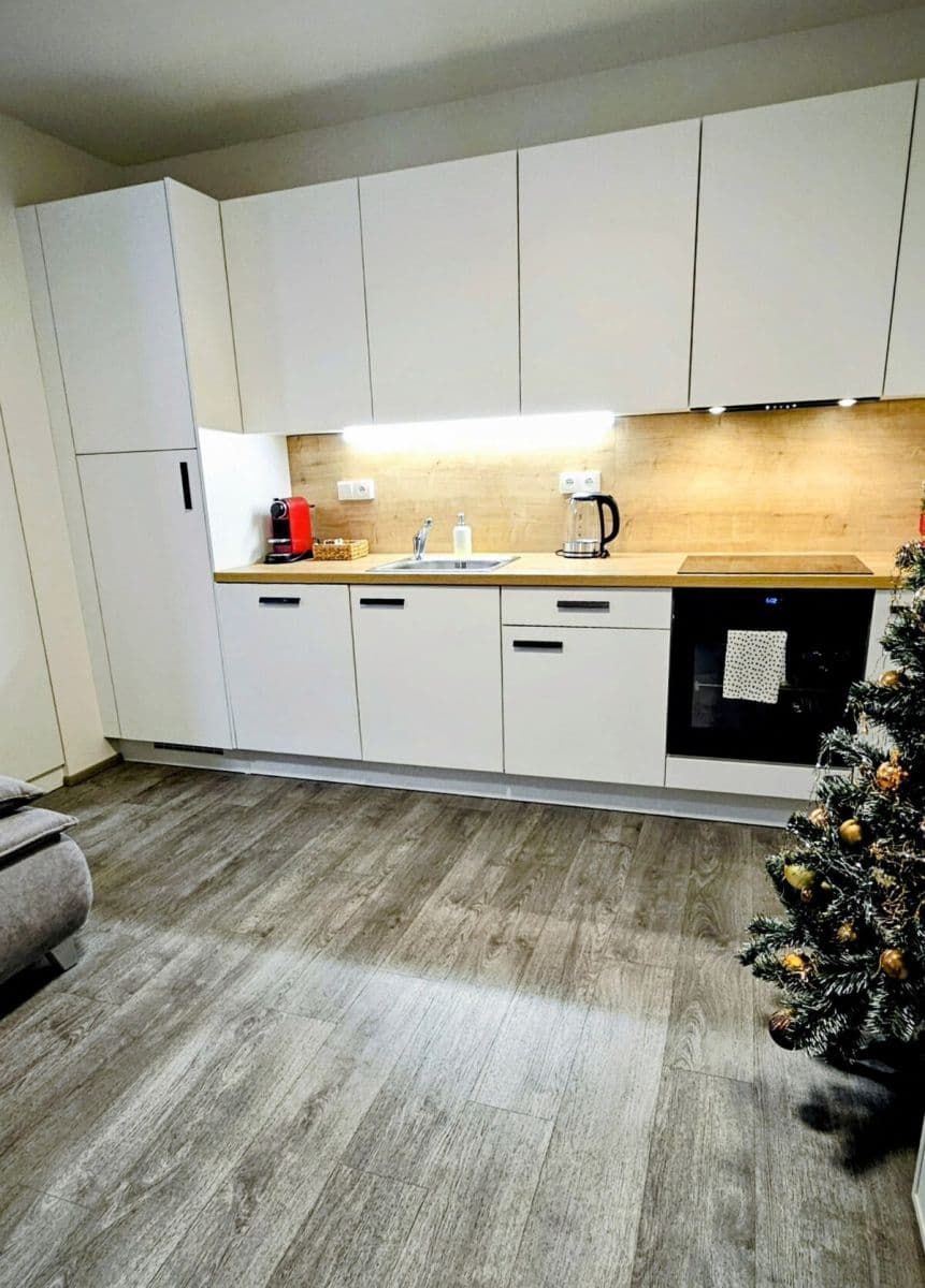 flat to rent, 40 m², Plzenska, Prague, Prague flat to rent, 40 m², Plzenska, Prague, Prague