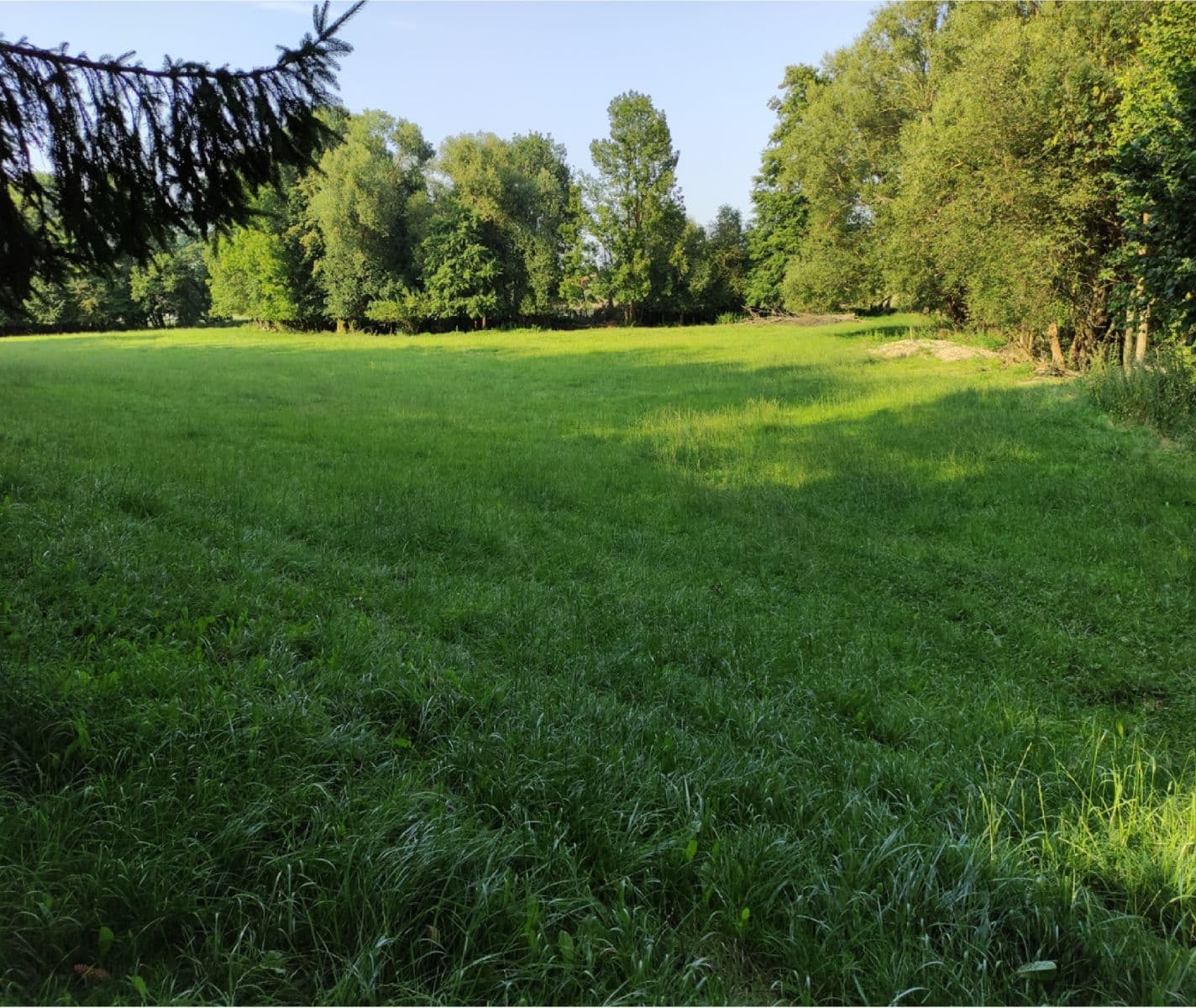 plot for sale, 3,974 m², Vysoké Mýto, Pardubický Region plot for sale, 3,974 m², Vysoké Mýto, Pardubický Region