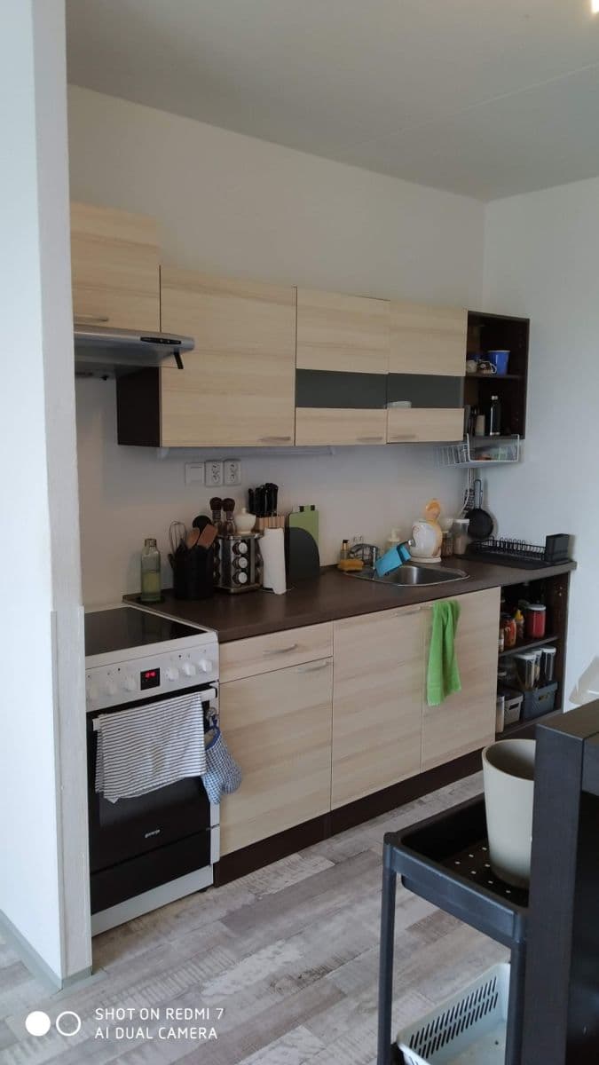 1 bedroom with open-plan kitchen flat to rent, 44 m², Spodní, Brno, Jihomoravský Region 1 bedroom with open-plan kitchen flat to rent, 44 m², Spodní, Brno, Jihomoravský Region