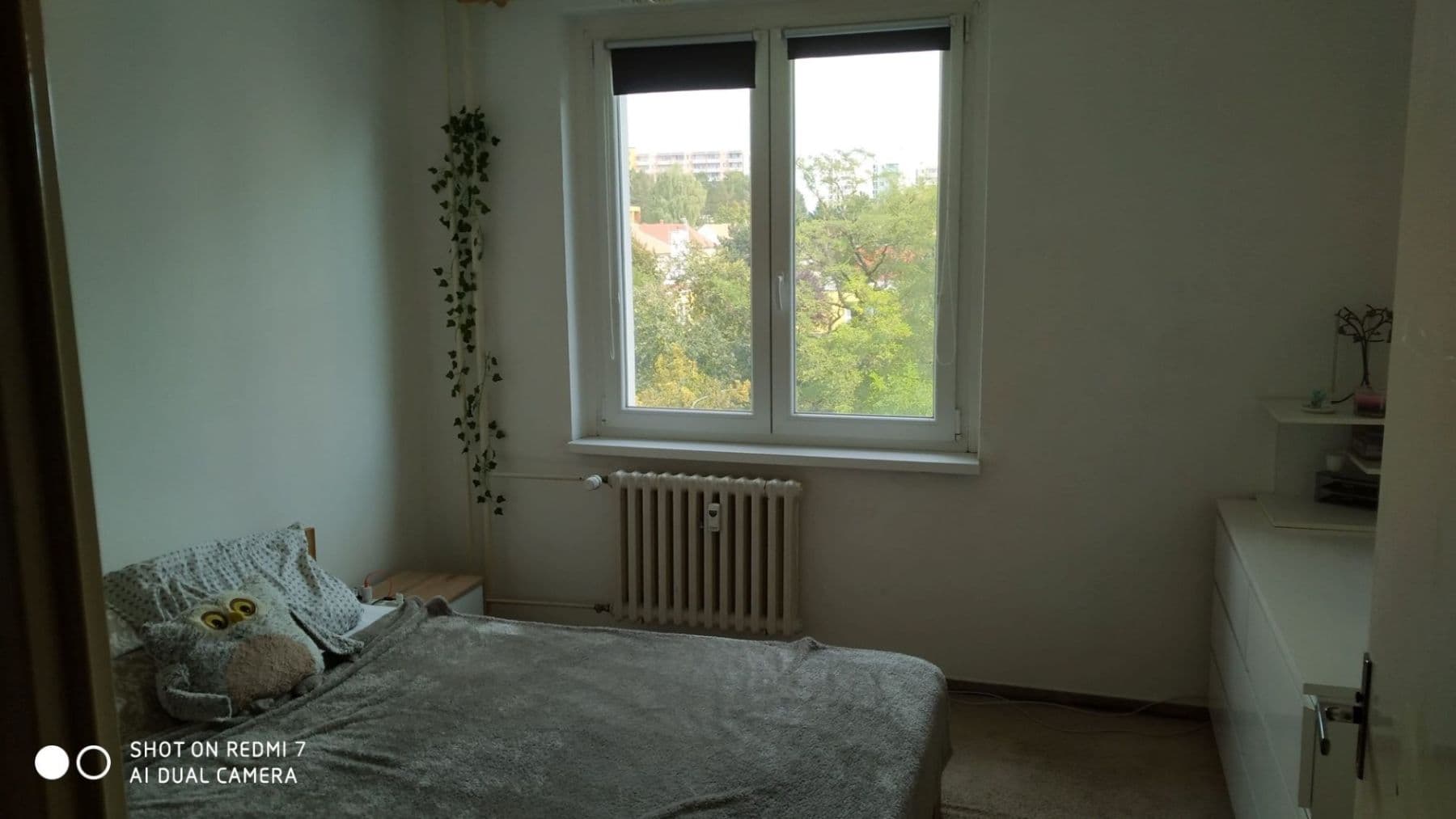 1 bedroom with open-plan kitchen flat to rent, 44 m², Spodní, Brno, Jihomoravský Region 1 bedroom with open-plan kitchen flat to rent, 44 m², Spodní, Brno, Jihomoravský Region