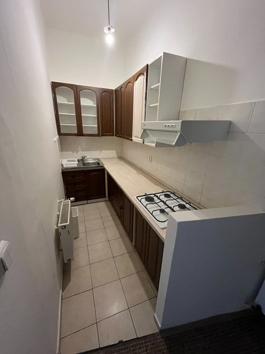 1 bedroom with open-plan kitchen flat to rent, 58 m², U Kublova, Prague, Prague 1 bedroom with open-plan kitchen flat to rent, 58 m², U Kublova, Prague, Prague