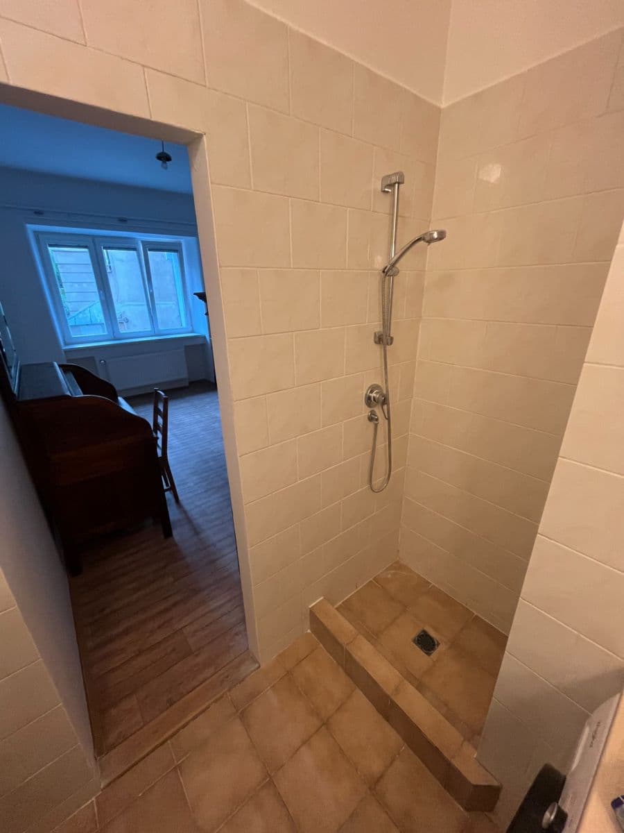 1 bedroom with open-plan kitchen flat to rent, 58 m², U Kublova, Prague, Prague 1 bedroom with open-plan kitchen flat to rent, 58 m², U Kublova, Prague, Prague