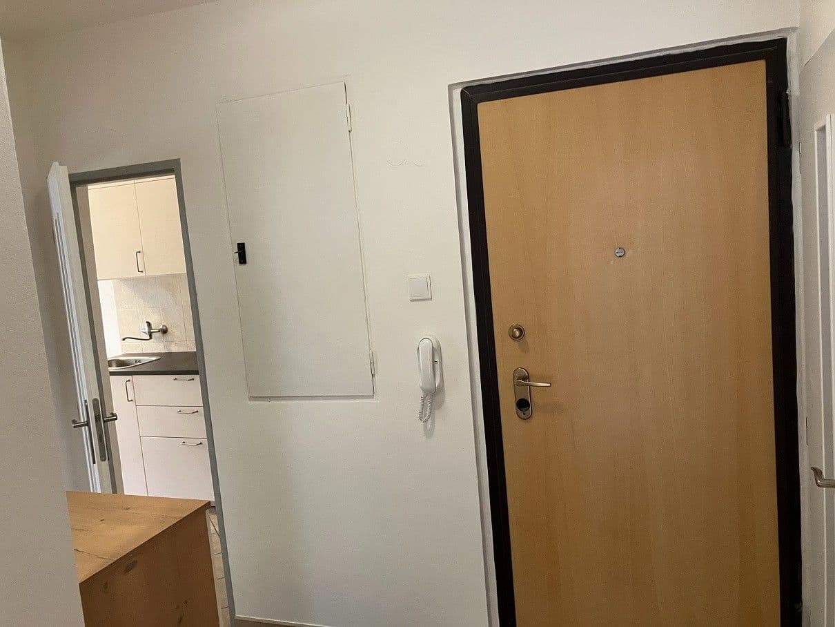 1 bedroom with open-plan kitchen flat to rent, 62 m², Hoškova, Prague, Prague 1 bedroom with open-plan kitchen flat to rent, 62 m², Hoškova, Prague, Prague