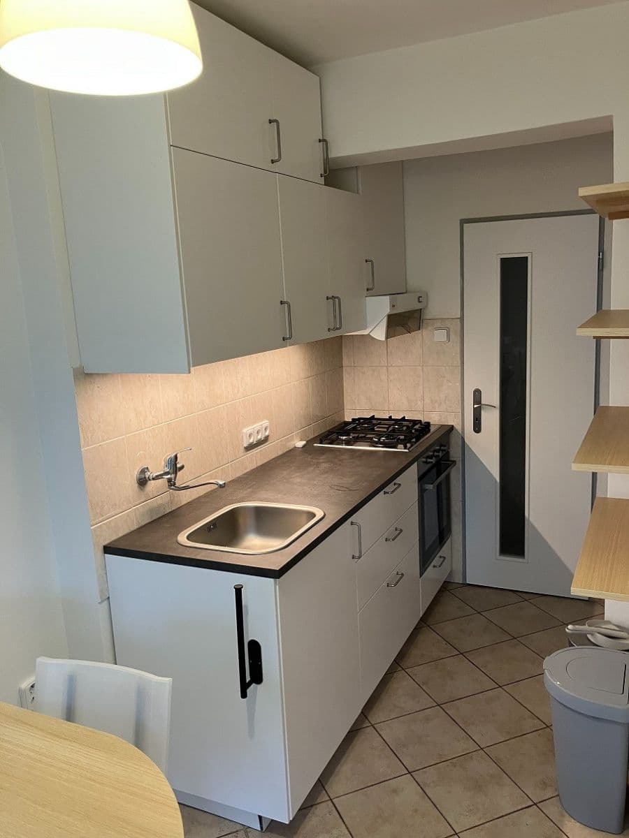 1 bedroom with open-plan kitchen flat to rent, 62 m², Hoškova, Prague, Prague 1 bedroom with open-plan kitchen flat to rent, 62 m², Hoškova, Prague, Prague