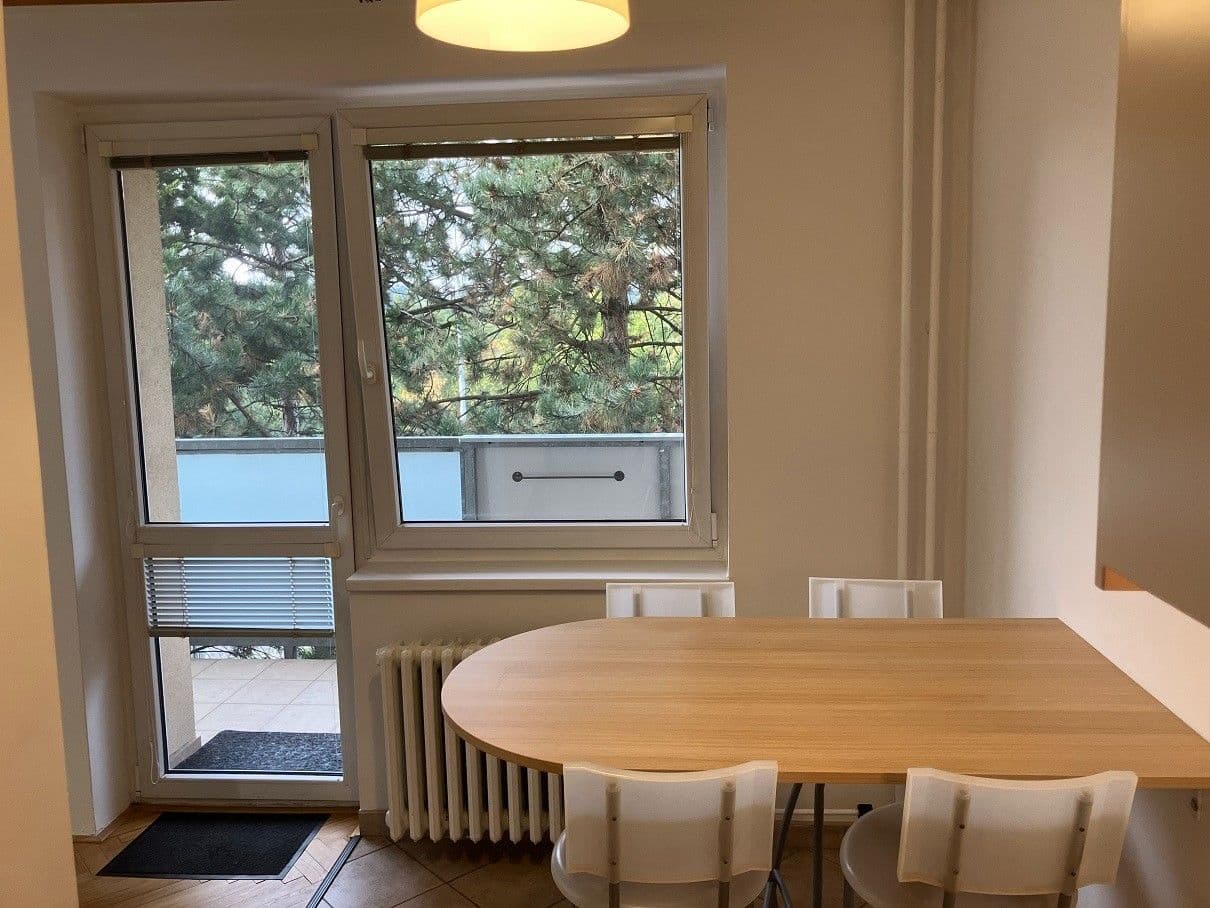 1 bedroom with open-plan kitchen flat to rent, 62 m², Hoškova, Prague, Prague 1 bedroom with open-plan kitchen flat to rent, 62 m², Hoškova, Prague, Prague