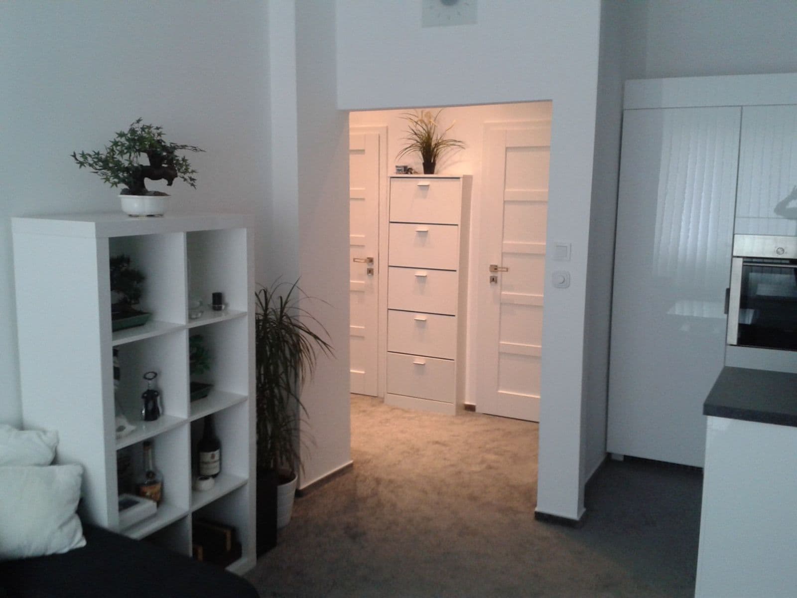 1 bedroom with open-plan kitchen flat to rent, 55 m², U Pergamenky, Prague, Prague 1 bedroom with open-plan kitchen flat to rent, 55 m², U Pergamenky, Prague, Prague