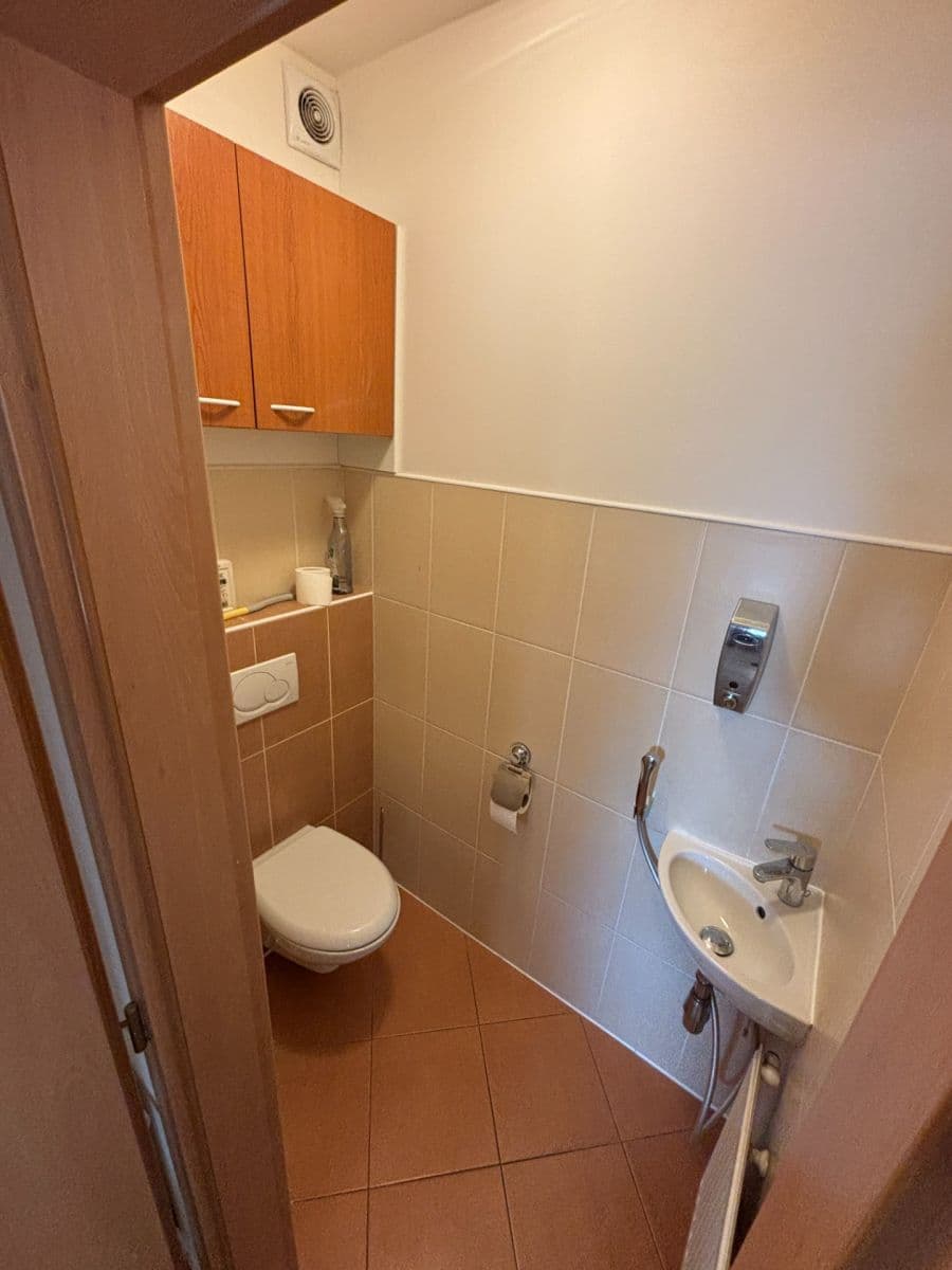 2 bedroom with open-plan kitchen flat to rent, 85 m², Za Podjezdem, Prague, Prague 2 bedroom with open-plan kitchen flat to rent, 85 m², Za Podjezdem, Prague, Prague