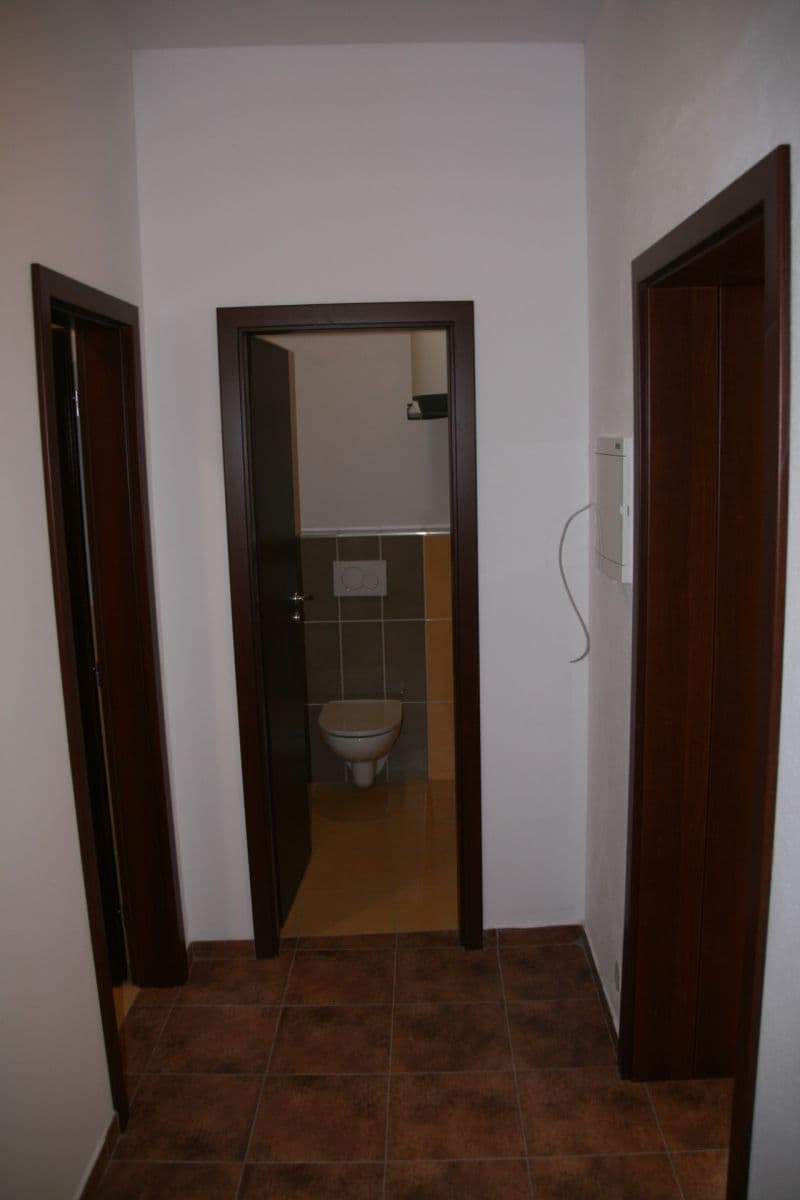 1 bedroom with open-plan kitchen flat to rent, 39 m², třída Národní svobody, Písek, Jihočeský Region 1 bedroom with open-plan kitchen flat to rent, 39 m², třída Národní svobody, Písek, Jihočeský Region